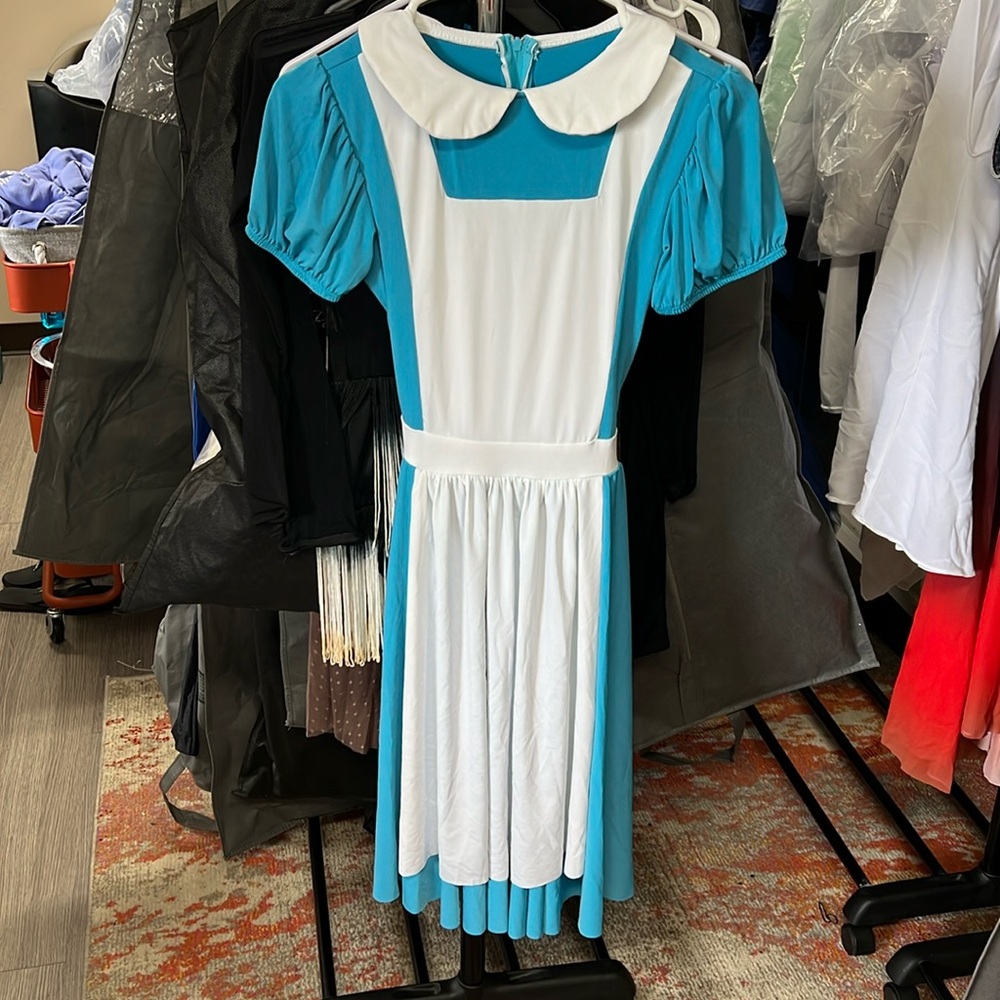 Alice in Wonderland Costume